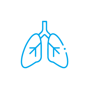 Anti Allergy & Anti Asthmatic